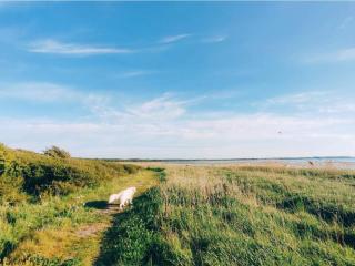 4 person holiday home in Jægerspris-By Traum - 2