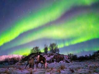 4 person holiday home in Rebbenes - 2