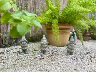 Flora's Garden Apartment/Studio - 2