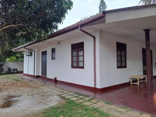 Shady Homestay - 1