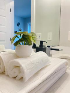 The Downtown Oasis - A Spacious Family Friendly 3 Bedroom House Close to Everything - 2