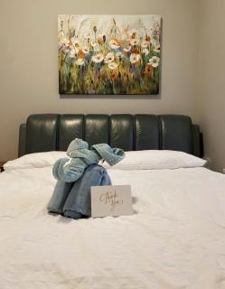 Richmond 2BR Fully Furnished 5 Min Walk to Walmart and Dining - 7