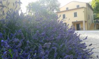 Agriturismo Il Truffarello TODI - Todi - 1