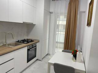 Modern Studio With Balcony - Unirea Towers Iasi - 7