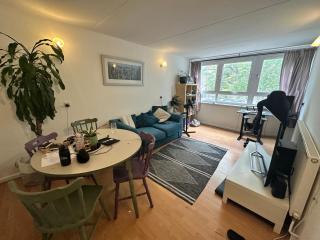 Battersea Power Station 2 Bedroom Flat - 7