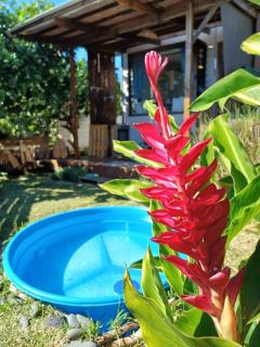 Le Tahiti Bungalow Surf Lodge - 9