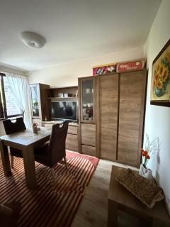 Private studio E61 in Borovets Gardens - 9