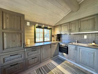 Briskebu, cosy cabin by ski slopes - 5