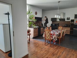 Geschäfts und Ferienwohnung Magdeburg - 1