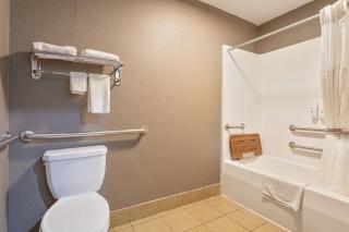 Quality Inn Edmund Pettus Bridge area - 1