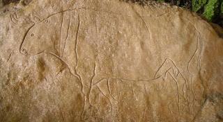 Villa Aurea Rooms & More - 9