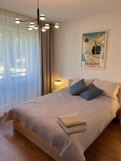 Apartament Zapora Bielsko-Biała - Bielsko-Biała - 5