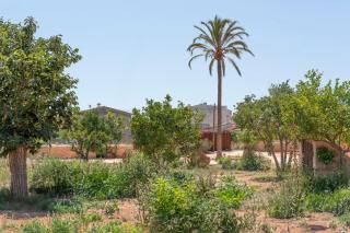 Hort de Ca'n Salvà - 5