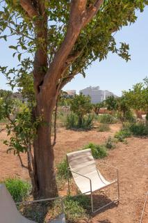 Hort de Ca'n Salvà - 2