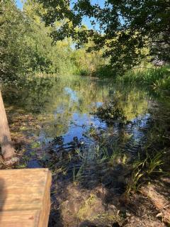 Evasion Insolite en Tiny - Les Berges de Rieulay - 5