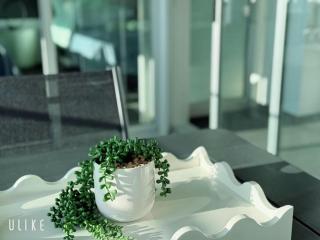 La Jolla Holiday Surfers Paradise - 8