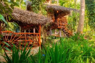 Wooden Eco Cottage - 2