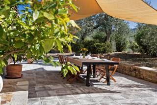 Le Colline di Vinci - Leonardo Flat - 9