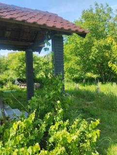 Summer house in Belgrade - 3