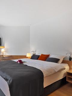 Centra Hotel Zurich - 0