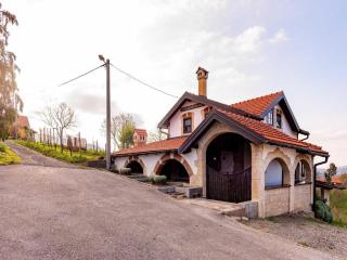 Vinogradarov san - Donja Stubica - 0