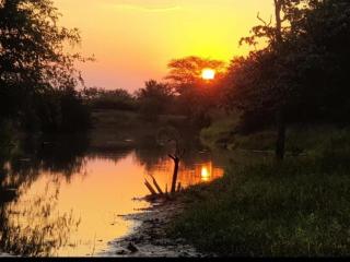 Tintshaba Safaris - 6
