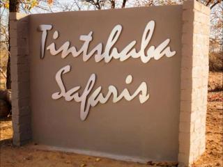 Tintshaba Safaris - 2