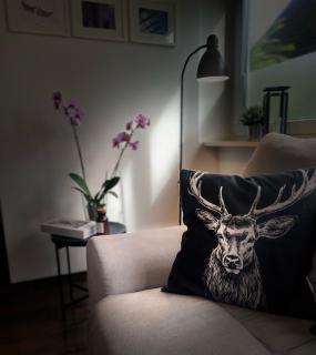 Ferienwohnung Paradies Hella - 0