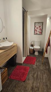 Charmant studio avec terrasse - 1