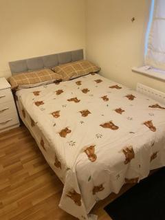 Stylish home on quiet street - Orpington - 1