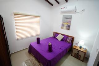 Negombo Airport Villa with Swimming Pool, Parks and Breakfast - 5