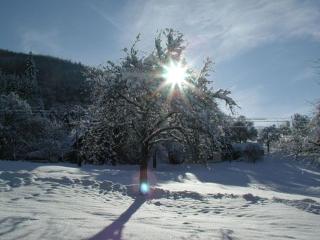 Pension Schneider - 1