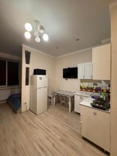 N87 Irina Apartment - Pavlodar - 4