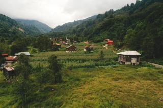 Deremezra Tatil Köyü - Ardeşen - 0