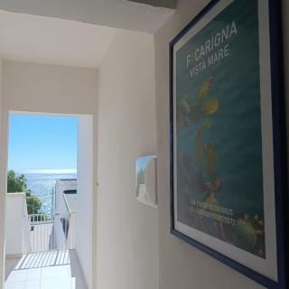 Ficarigna Vista Mare - 9