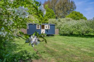 The Orchard Hut - Burnham Market - 0