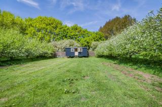 The Orchard Hut - 3