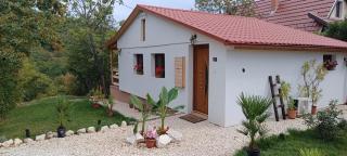 Hilltop Cottage in Szentendre, mountain view, terrace, garden - 0