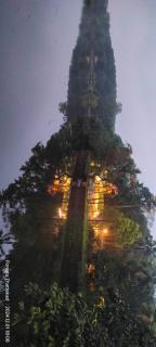 Foresta Thattekkadu Pool Resort - 4