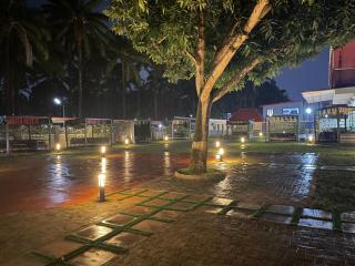 Precious Palm Royal Hotel - 1