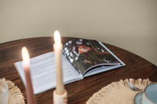 Nordic Velvet Loft - 1