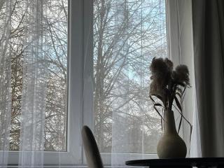 Cozy Studio near Druskininkai - Druskininkai - 4