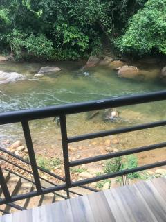 Ever Top Resort Kithulgala - 6