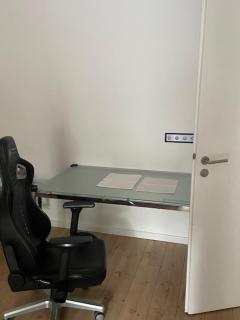Exklusives Appartement Darmstadt Orangerie - 8