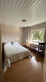 Entire Villa, free breakfast, free parking - 3