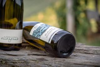 Weingut Caspari, Familie Eggert - Traben-Trarbach - 4