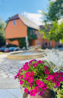 Naturnah bei Weimar - Nermsdorf - 5