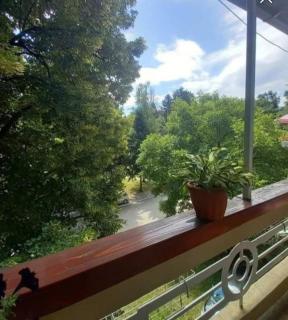 Apartman Nona - 5
