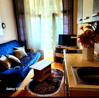 Apartman Nona - Vrnjačka Banja - 3