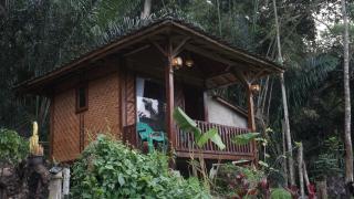 BARENG BUNGALOWs - 0